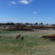 Image for article titled Help Us Spot the Incredible Cars in This Kansas Junkyard